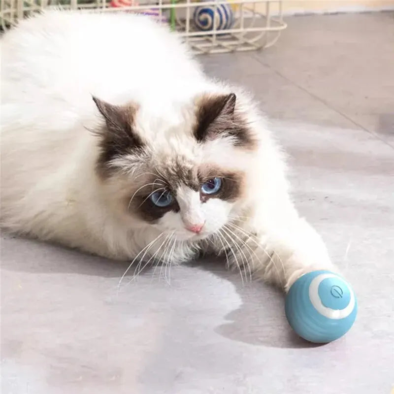 Bola Interativa Inteligente para Gatos