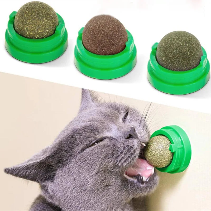 Bola de Erva Gateira