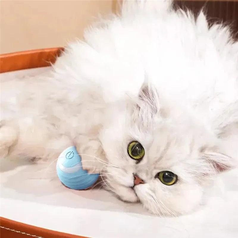 Bola Interativa Inteligente para Gatos
